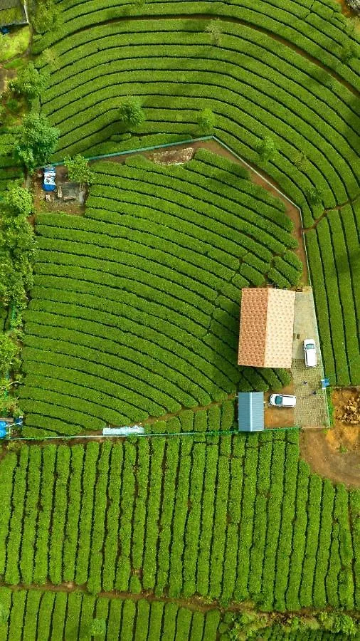 Cloud Canopy - Tea Garden Family Pool Cottage In Vagamon India