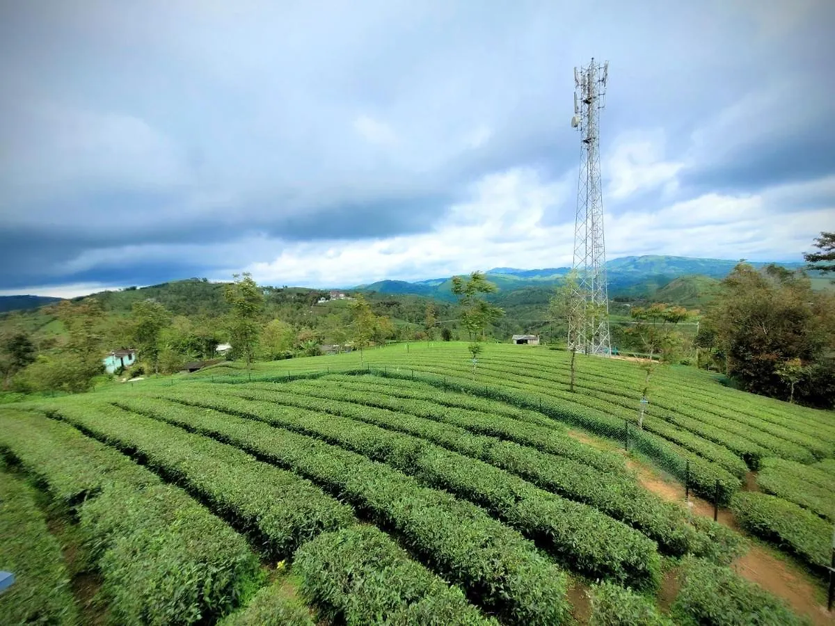 Cloud Canopy - Tea Garden Family Pool Cottage In Vagamon Ινδία