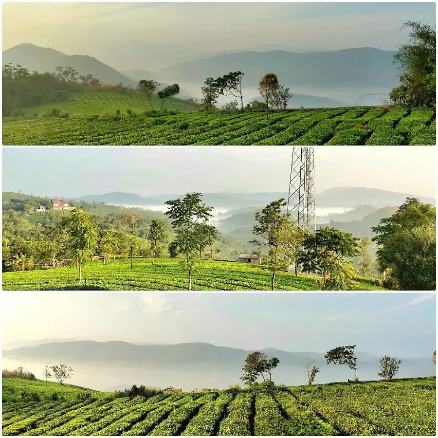 Cloud Canopy - Tea Garden Family Pool Cottage In Vagamon 0*,  Ινδία