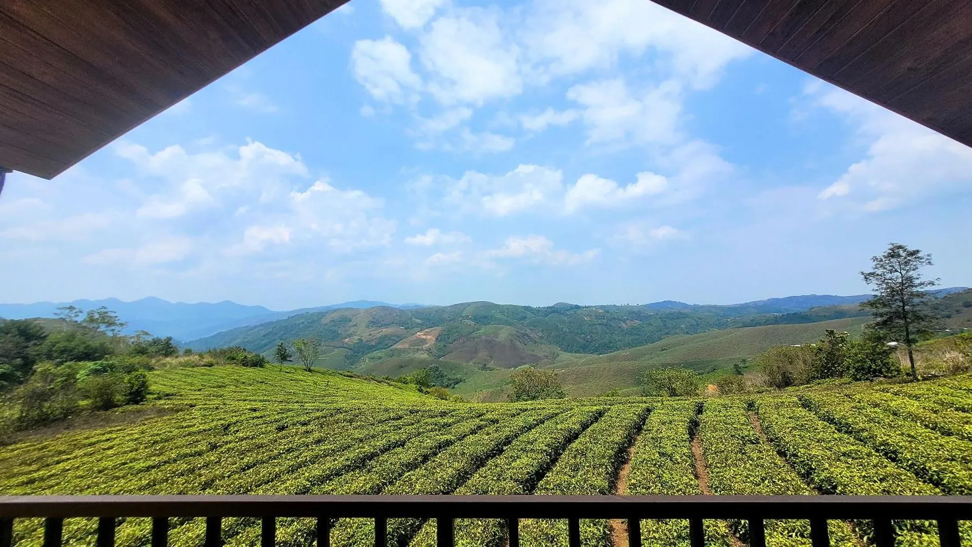 Cloud Canopy - Tea Garden Family Pool Cottage In Vagamon Ινδία