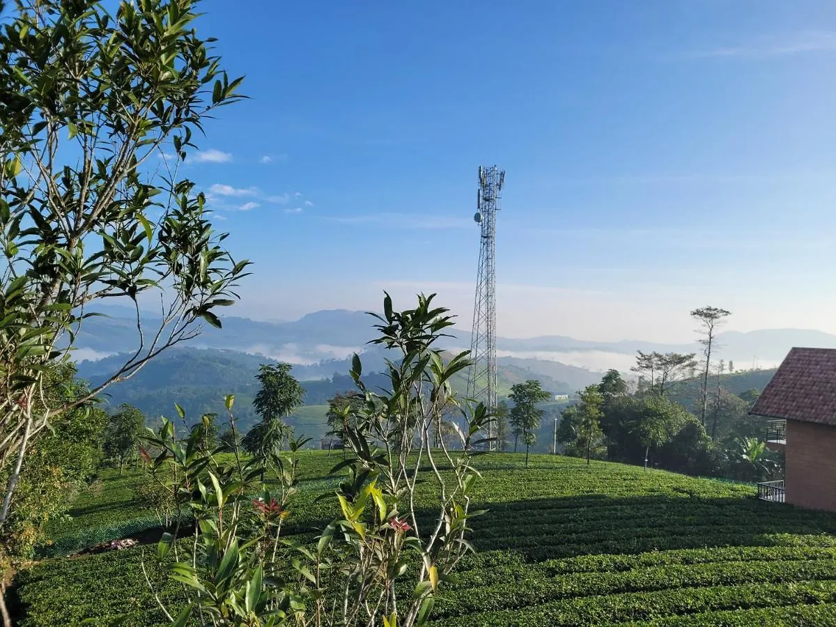 Resort Cloud Canopy - Tea Garden Family Pool Cottage In Vagamon