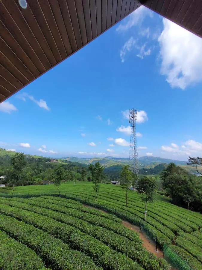 Resort Cloud Canopy - Tea Garden Family Pool Cottage In Vagamon