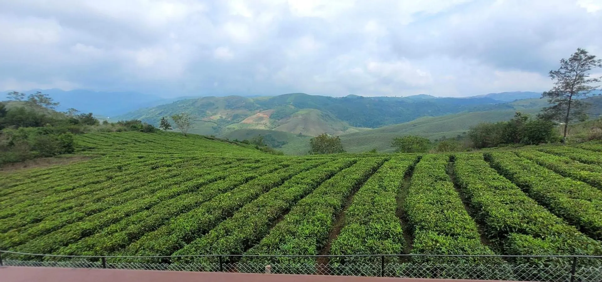 Cloud Canopy - Tea Garden Family Pool Cottage In Vagamon Indien