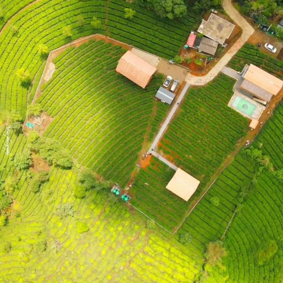 Cloud Canopy - Tea Garden Family Pool Cottage In Vagamon Resort